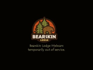 Live images from Bearskin Lodge, MN
